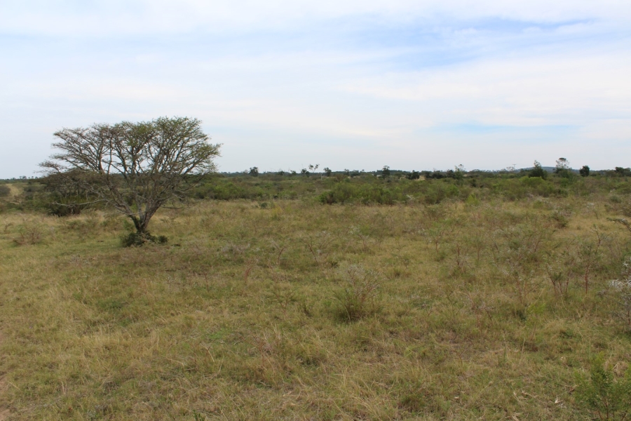 0 Bedroom Property for Sale in Bathurst Eastern Cape